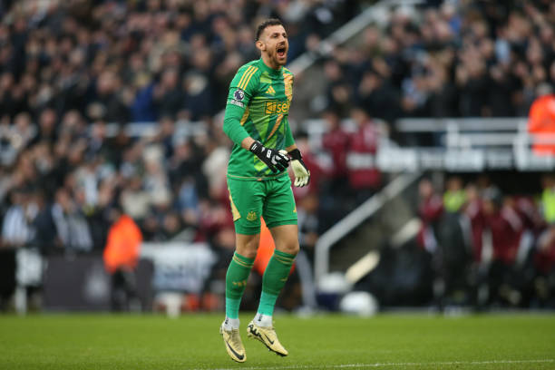 母队的浓厚 母队的浓厚