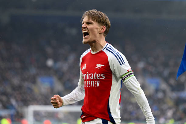 视野和判断 视野和判断